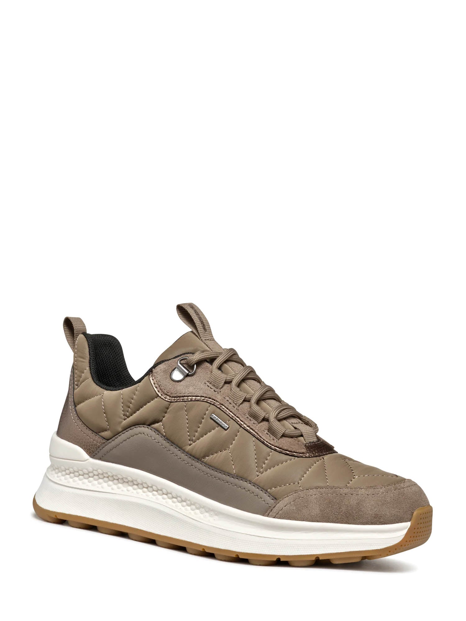Sneakers Tortora Geox