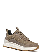 Sneakers Tortora Geox