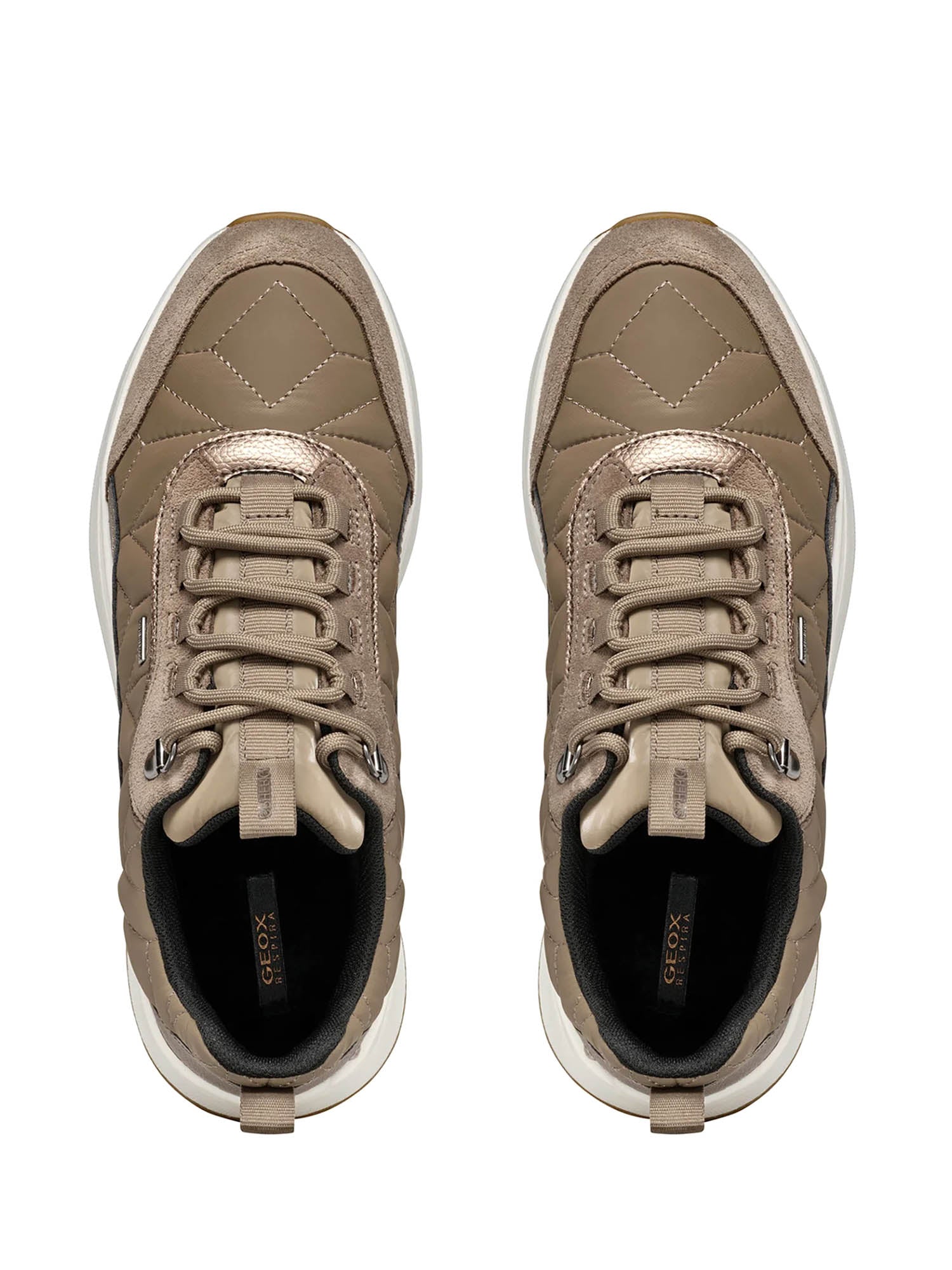 Sneakers Tortora Geox