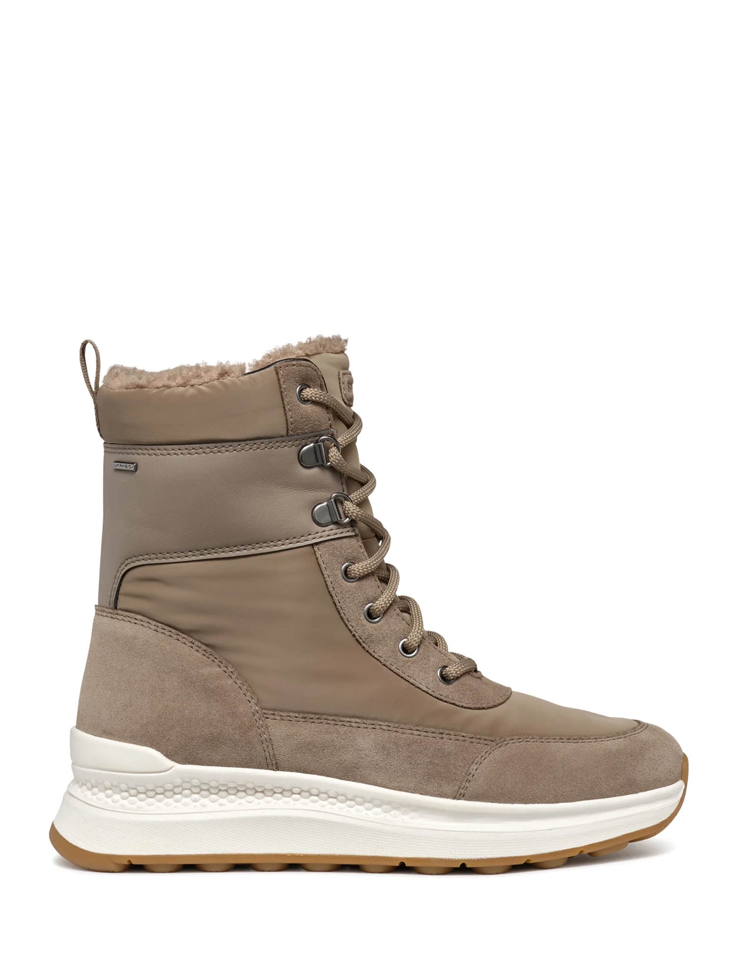 Sneakers Tortora Geox