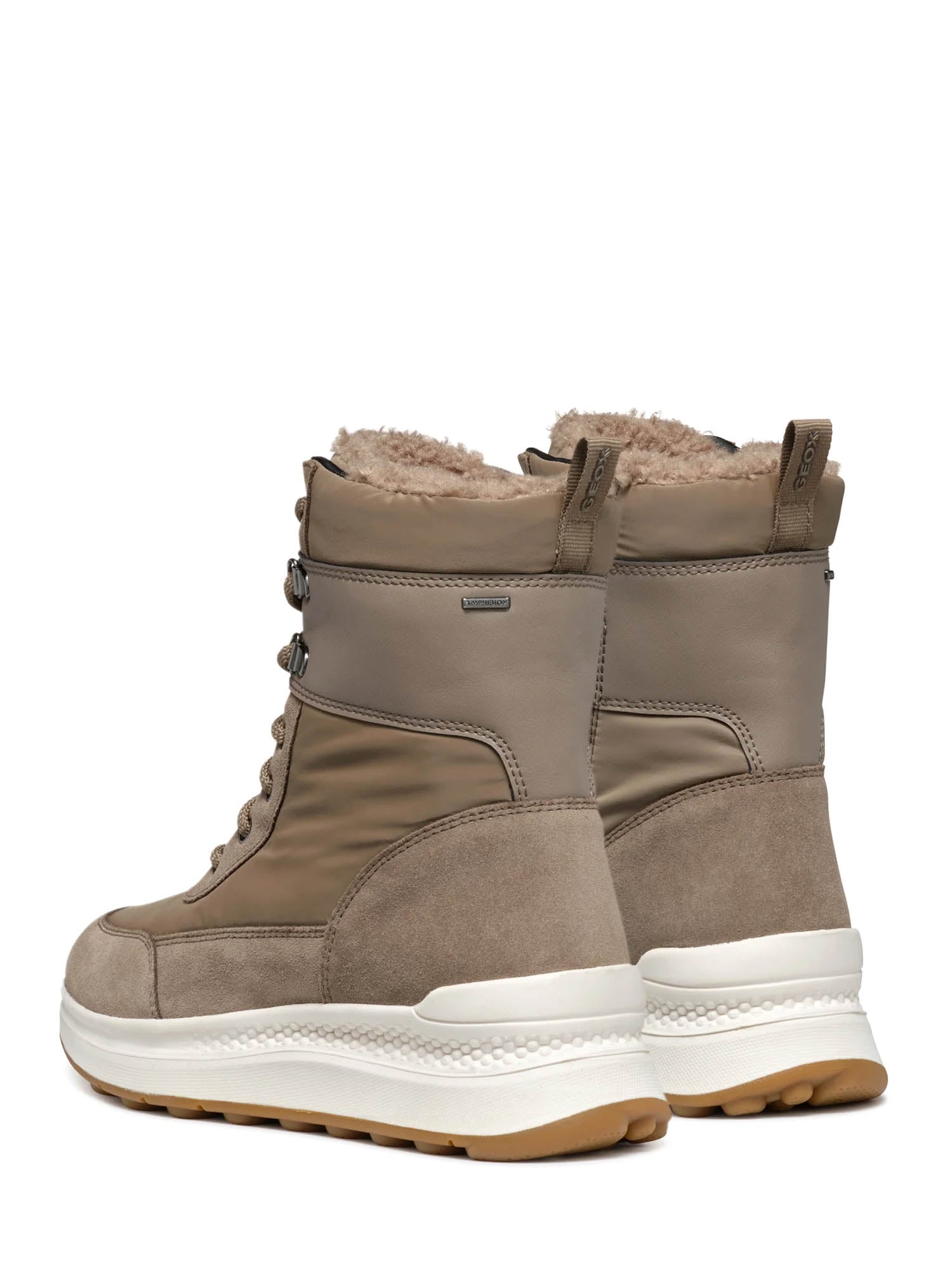 Sneakers Tortora Geox