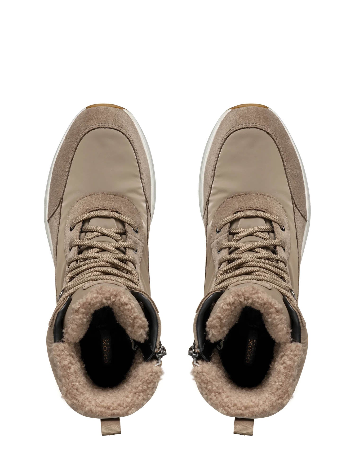 Sneakers Tortora Geox