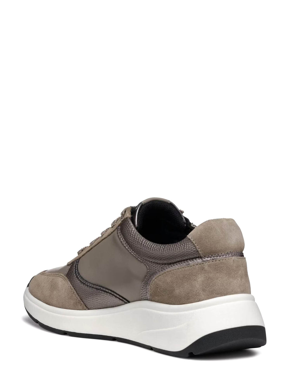 Sneakers Tortora Geox