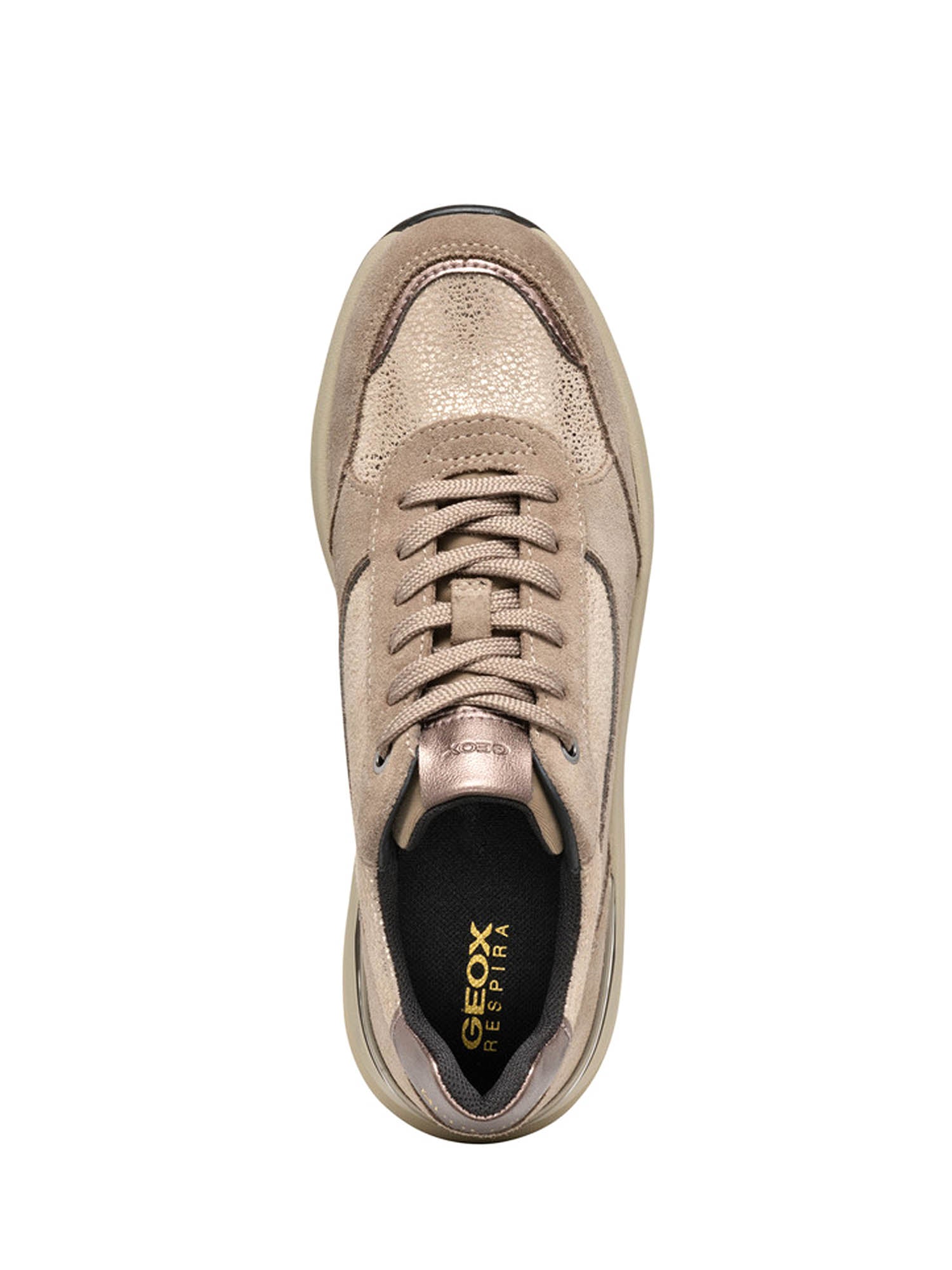 Sneakers Beige Geox