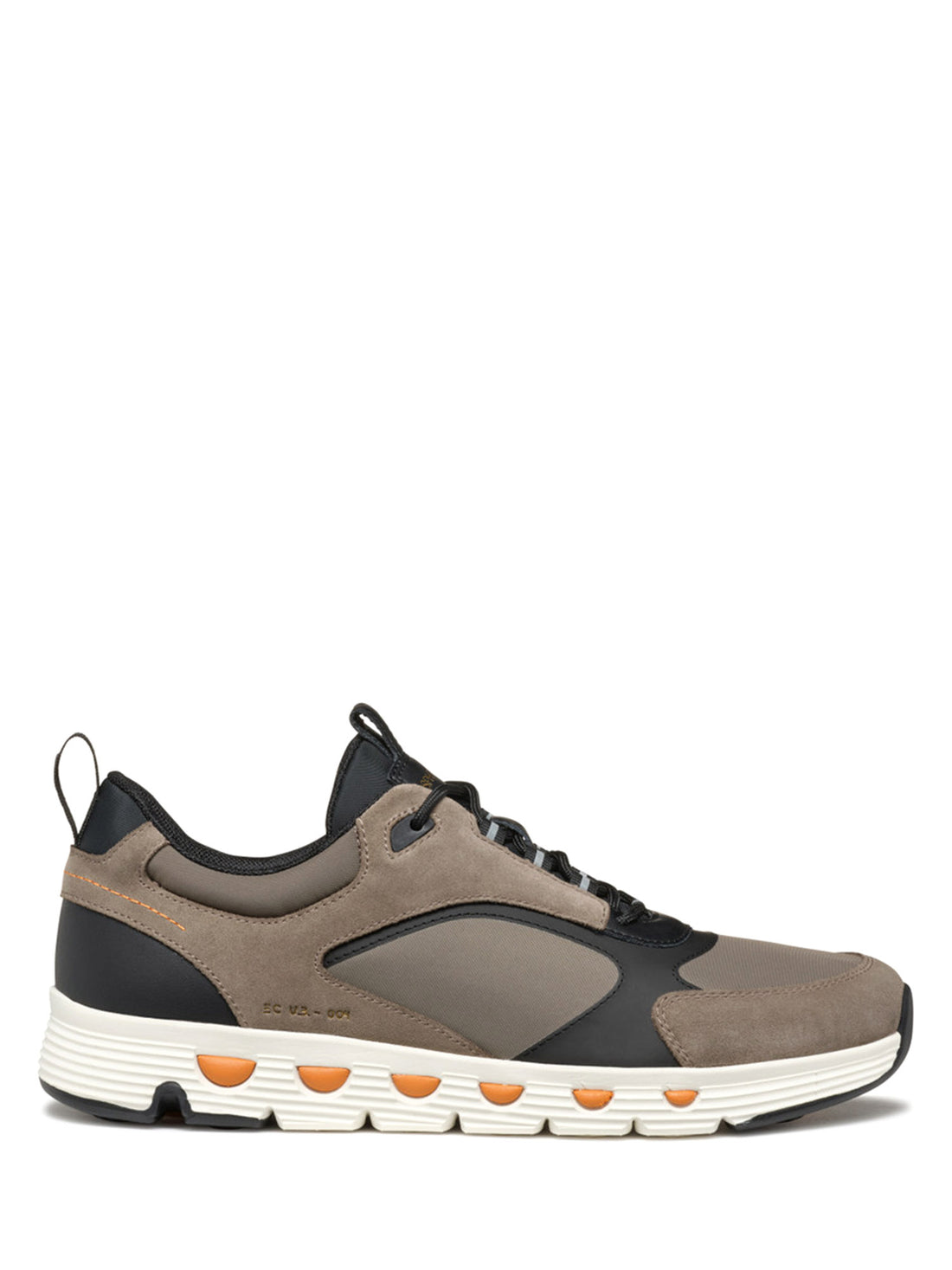 Sneakers Tortora Geox