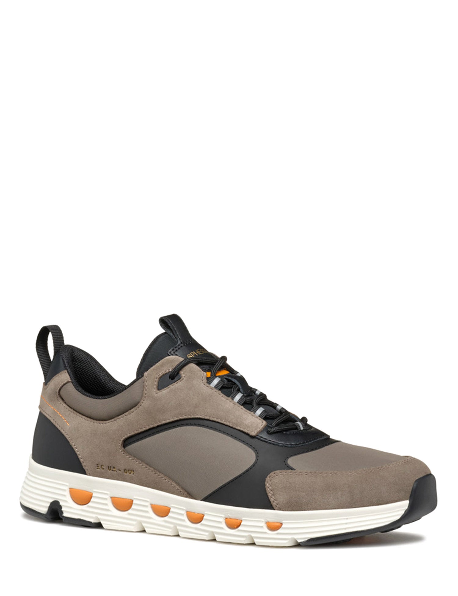Sneakers Tortora Geox
