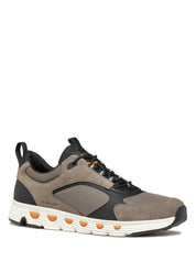 Sneakers Tortora Geox
