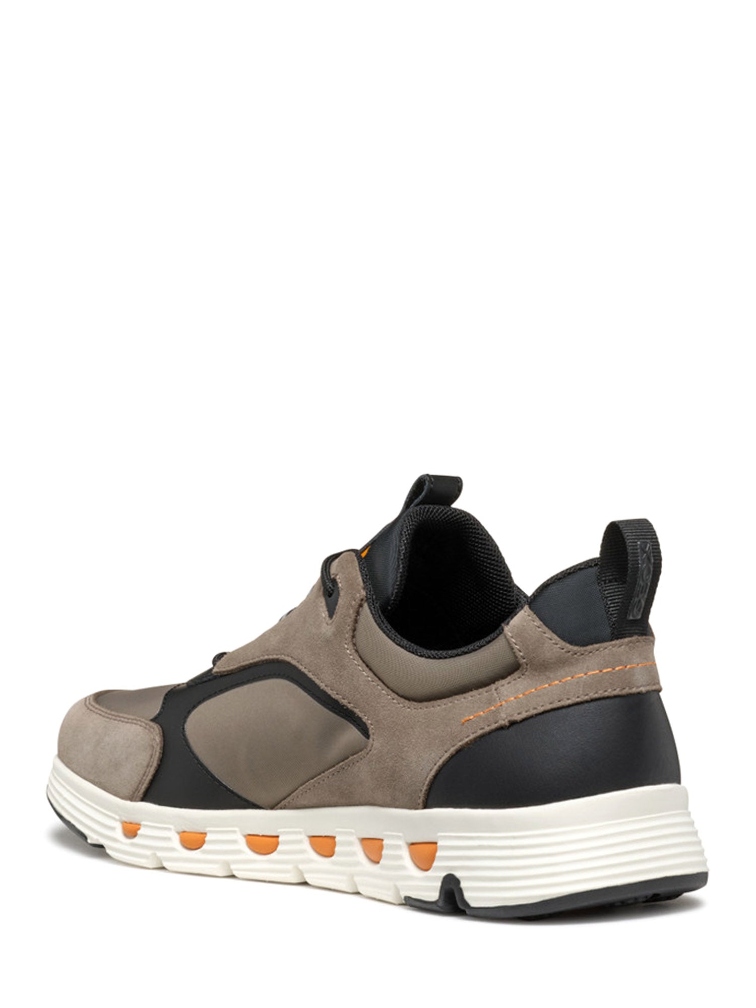 Sneakers Tortora Geox