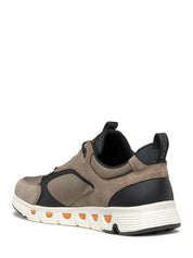 Sneakers Tortora Geox