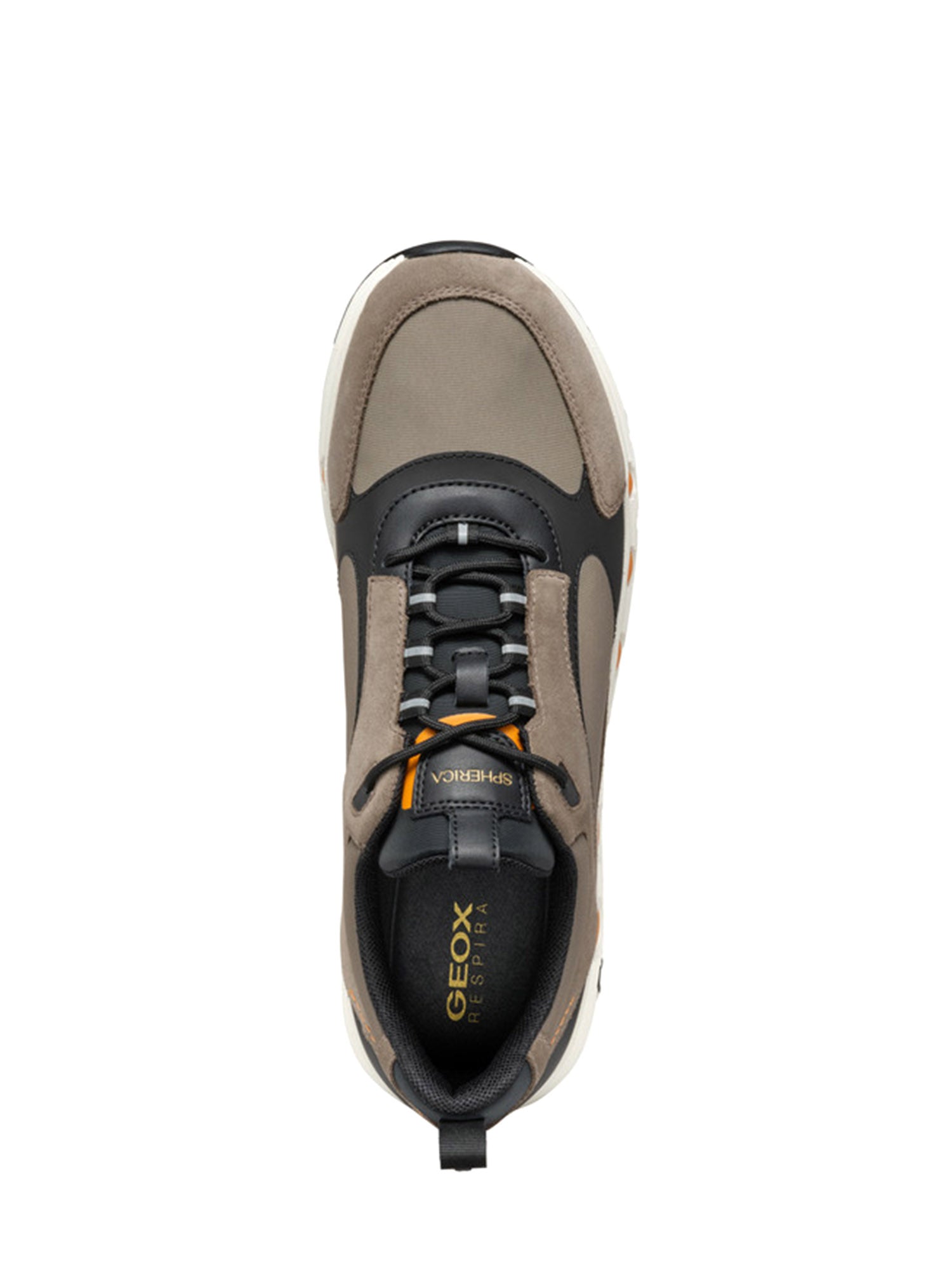 Sneakers Tortora Geox