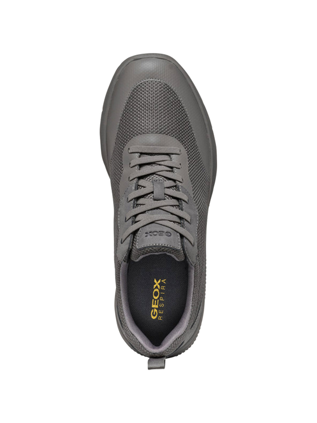 Sneakers Grigio Geox