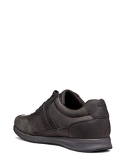 Sneakers Marrone Geox