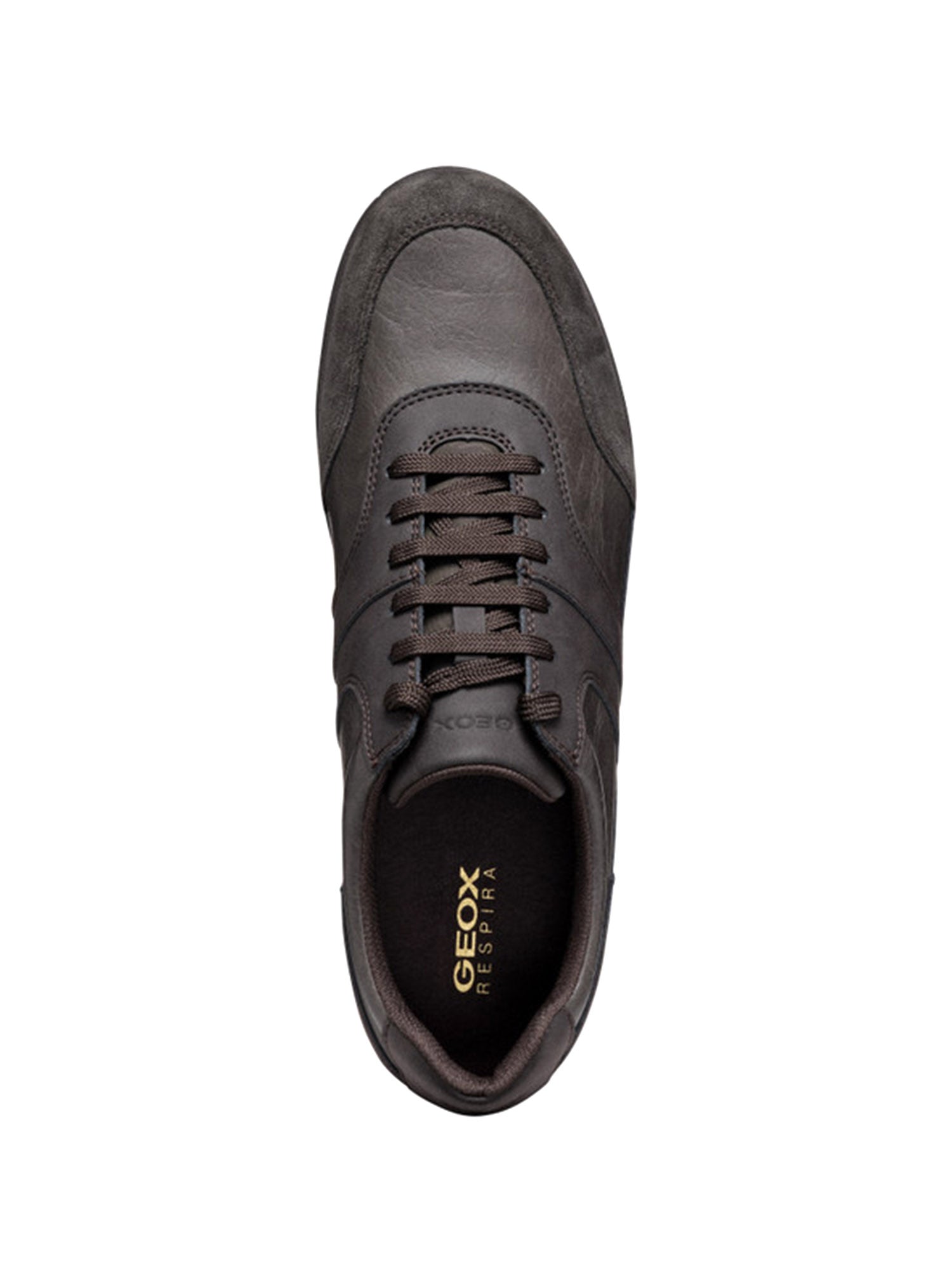 Sneakers Marrone Geox