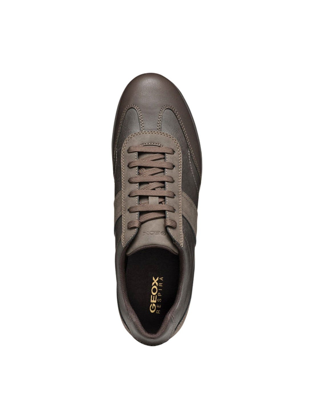 Sneakers Marrone Geox