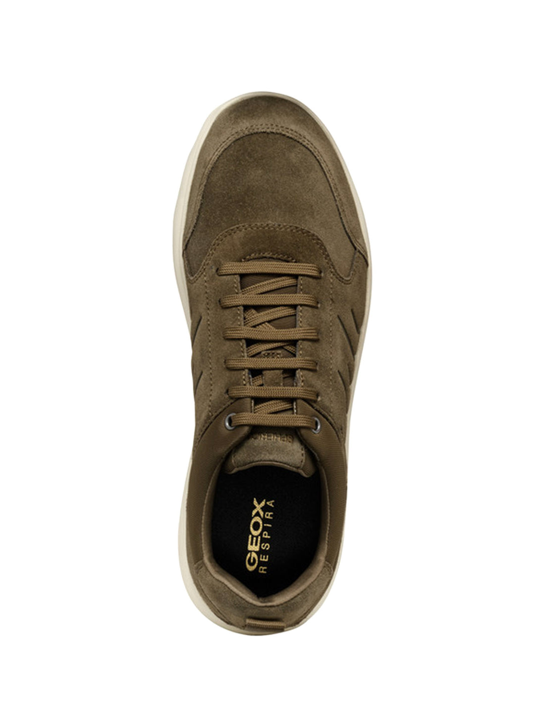 Sneakers Marrone Geox