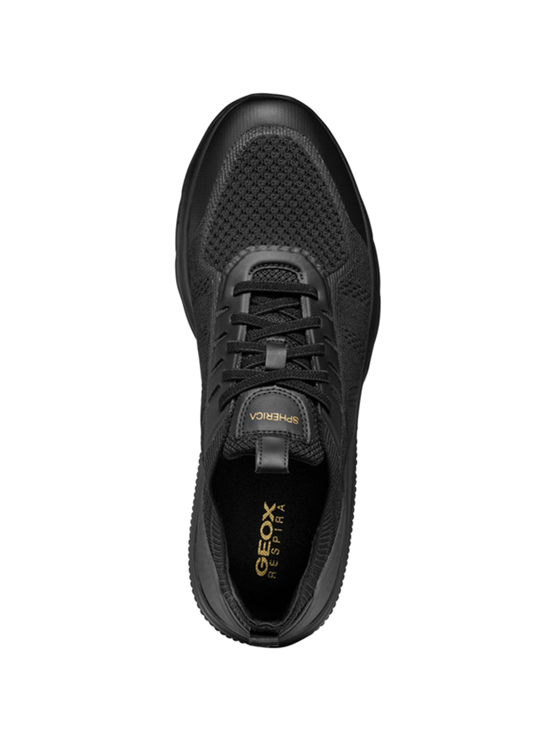 Sneakers Nero Geox