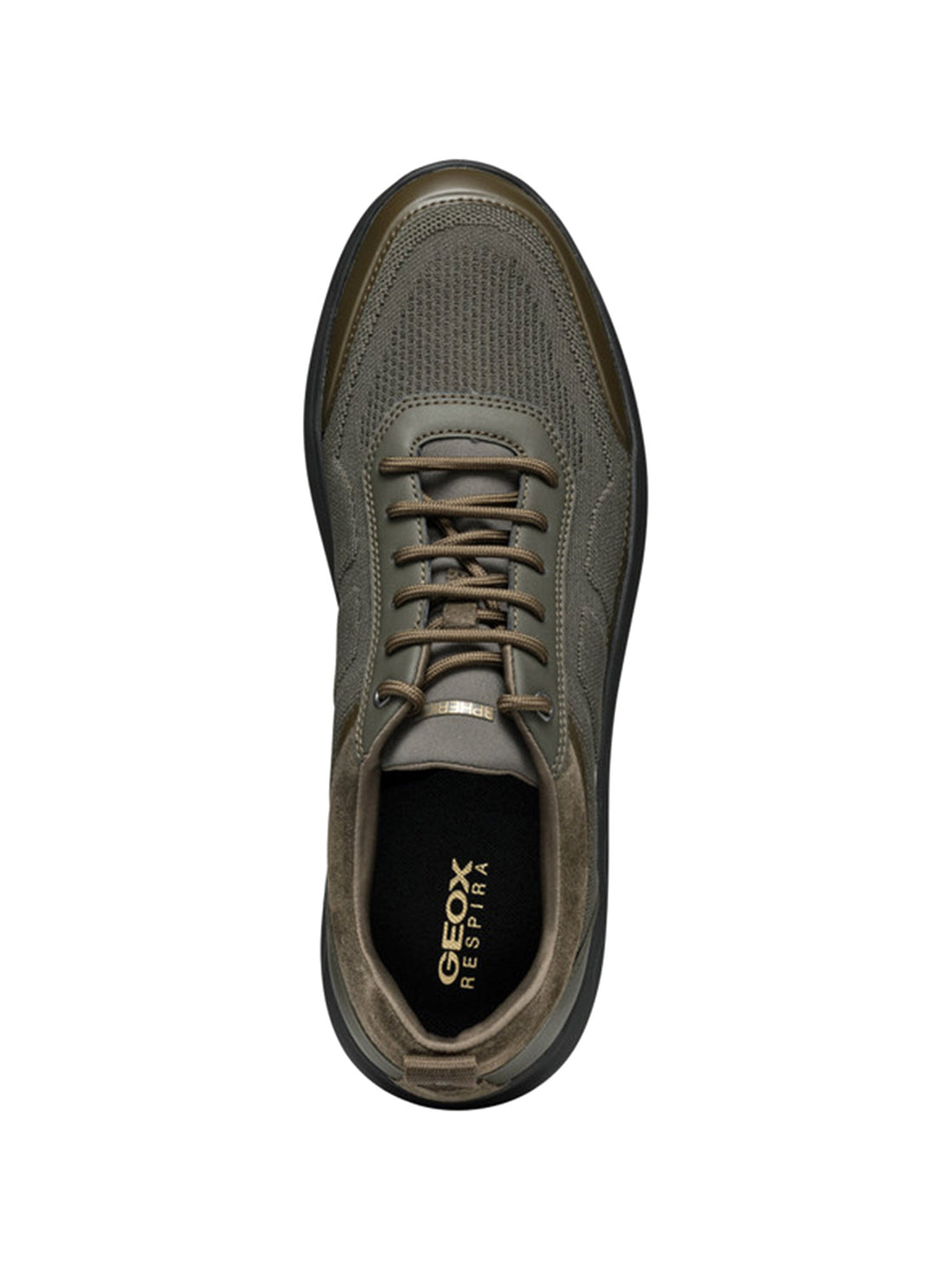 Sneakers Verde Geox