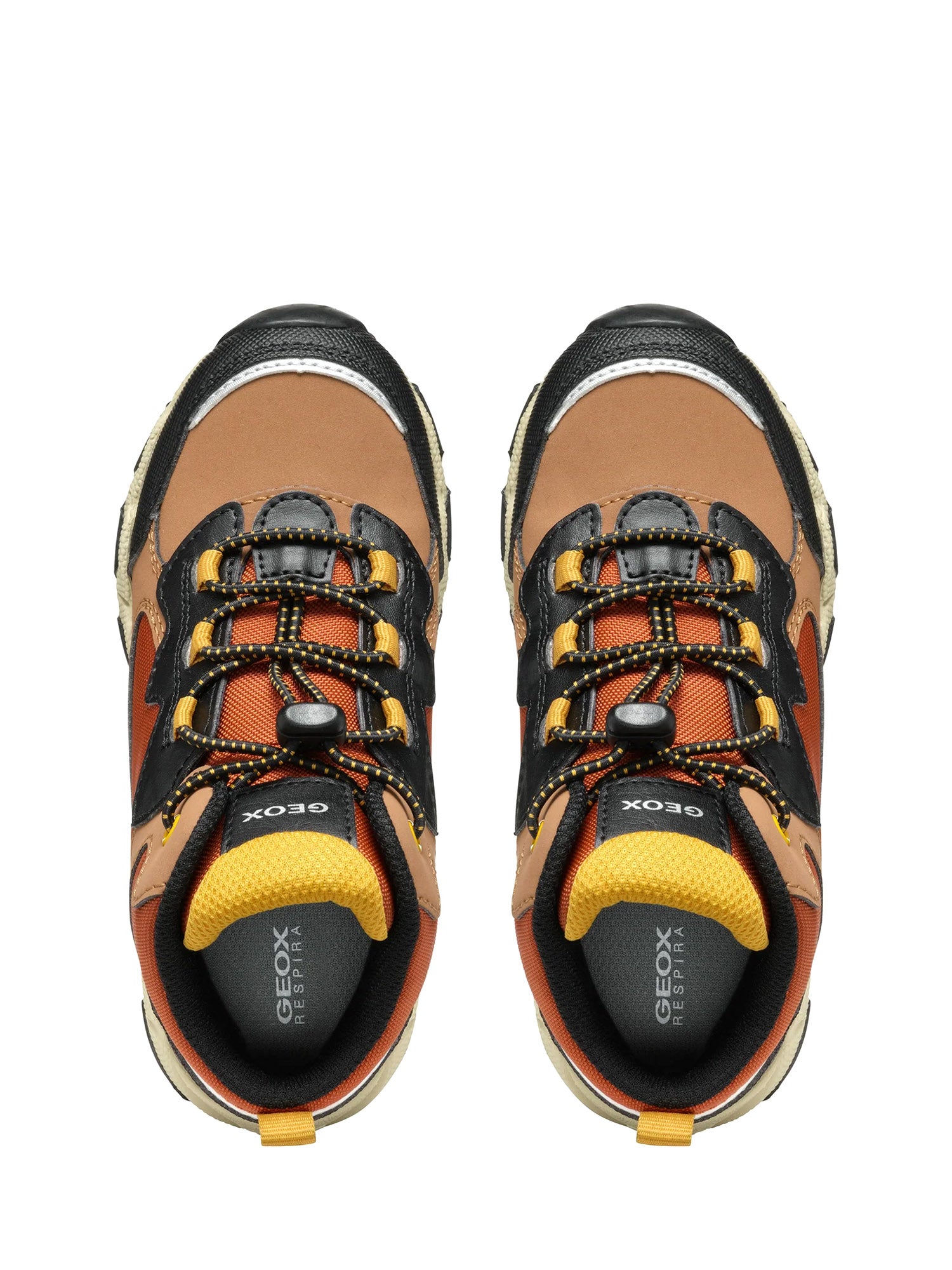 Sneakers Marrone Geox