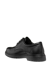 Scarpe eleganti Nero Geox
