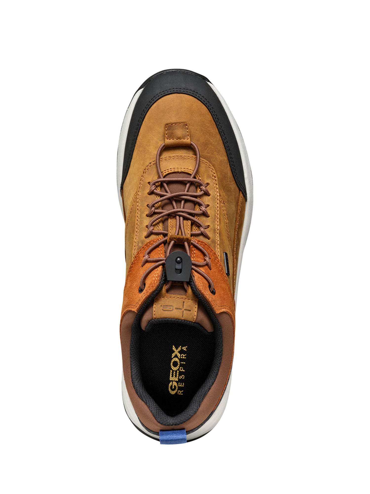 Sneakers Marrone Geox