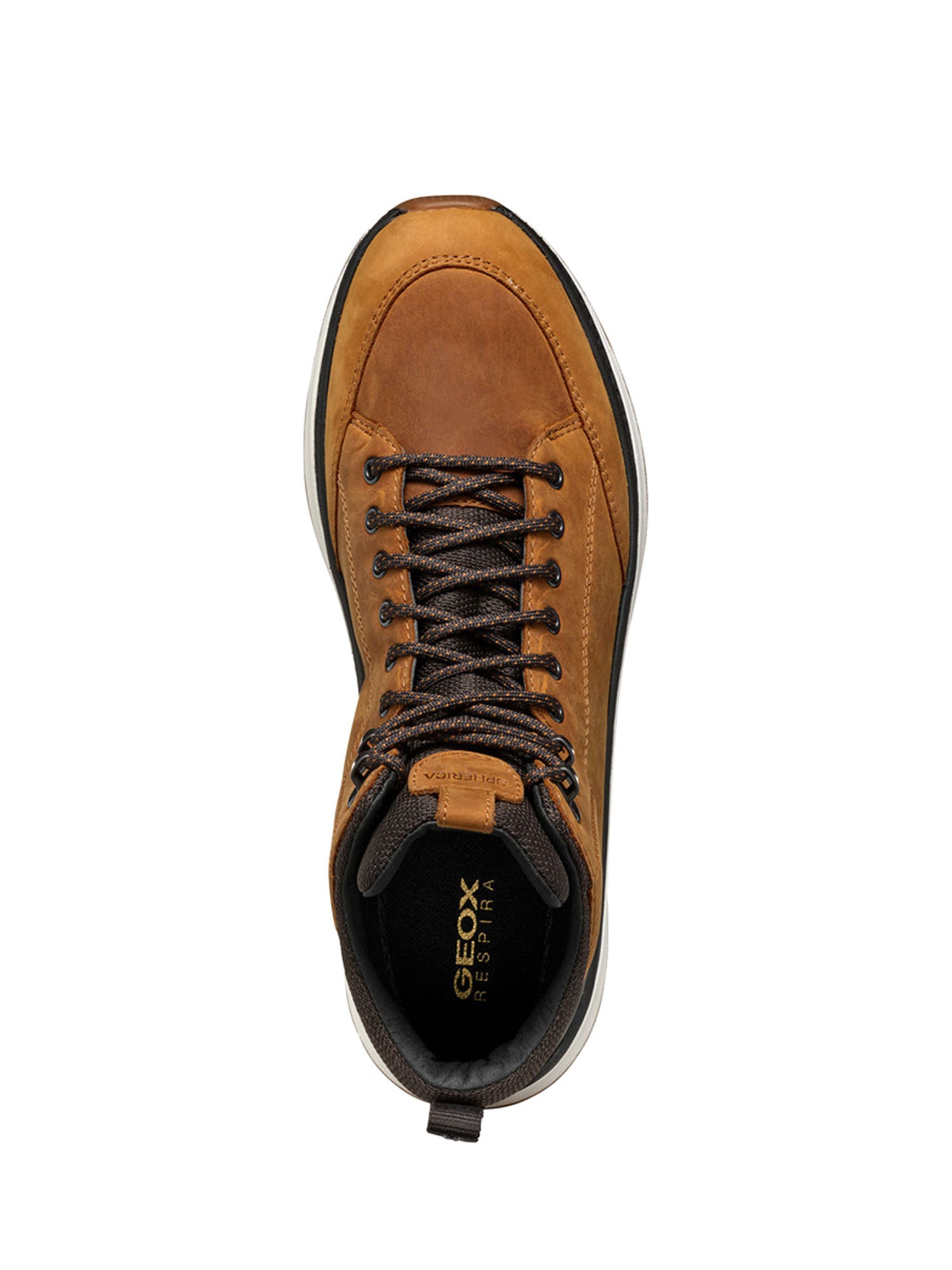 Sneakers Marrone Geox