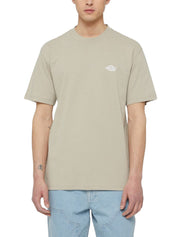 T-shirt Tortora Dickies