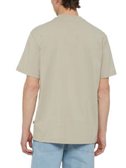 T-shirt Tortora Dickies