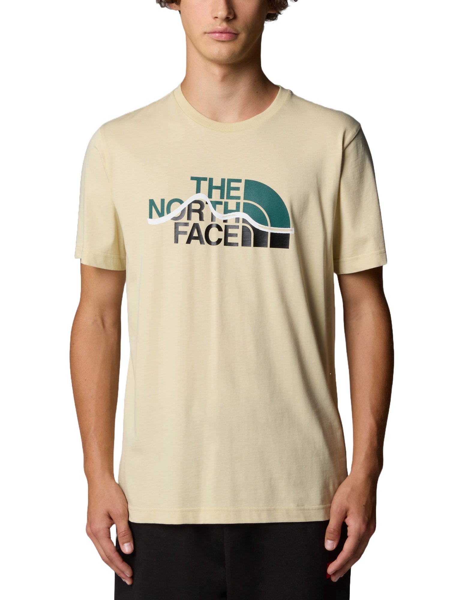 T-shirt Beige The North Face