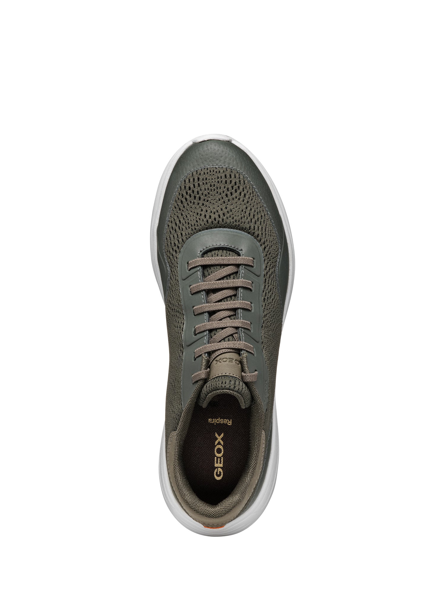 Sneakers Verde Geox