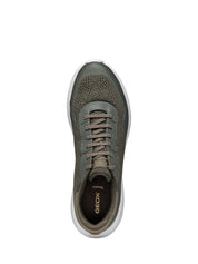 Sneakers Verde Geox