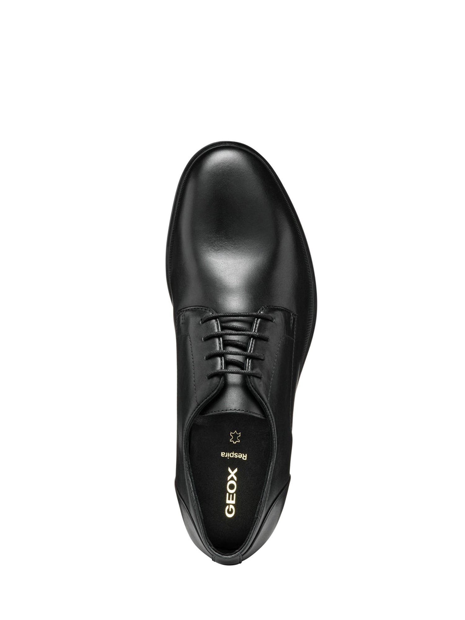 Francesine Nero Geox