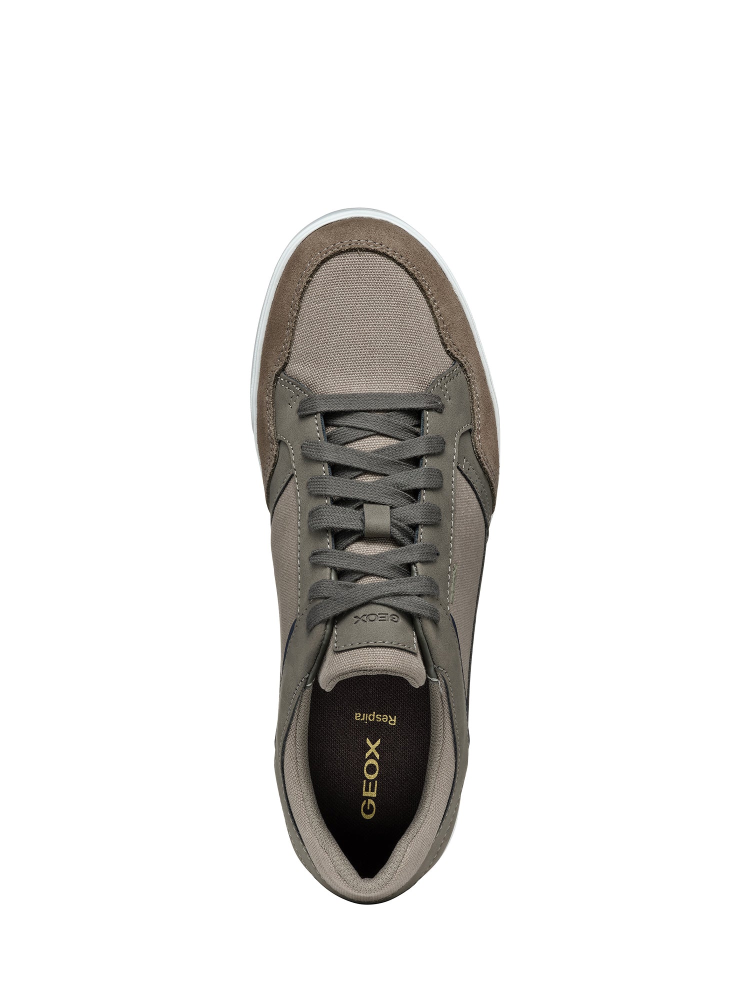 Sneakers Marrone Geox