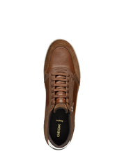 Sneakers Marrone Geox