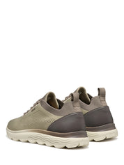 Sneakers Beige Geox