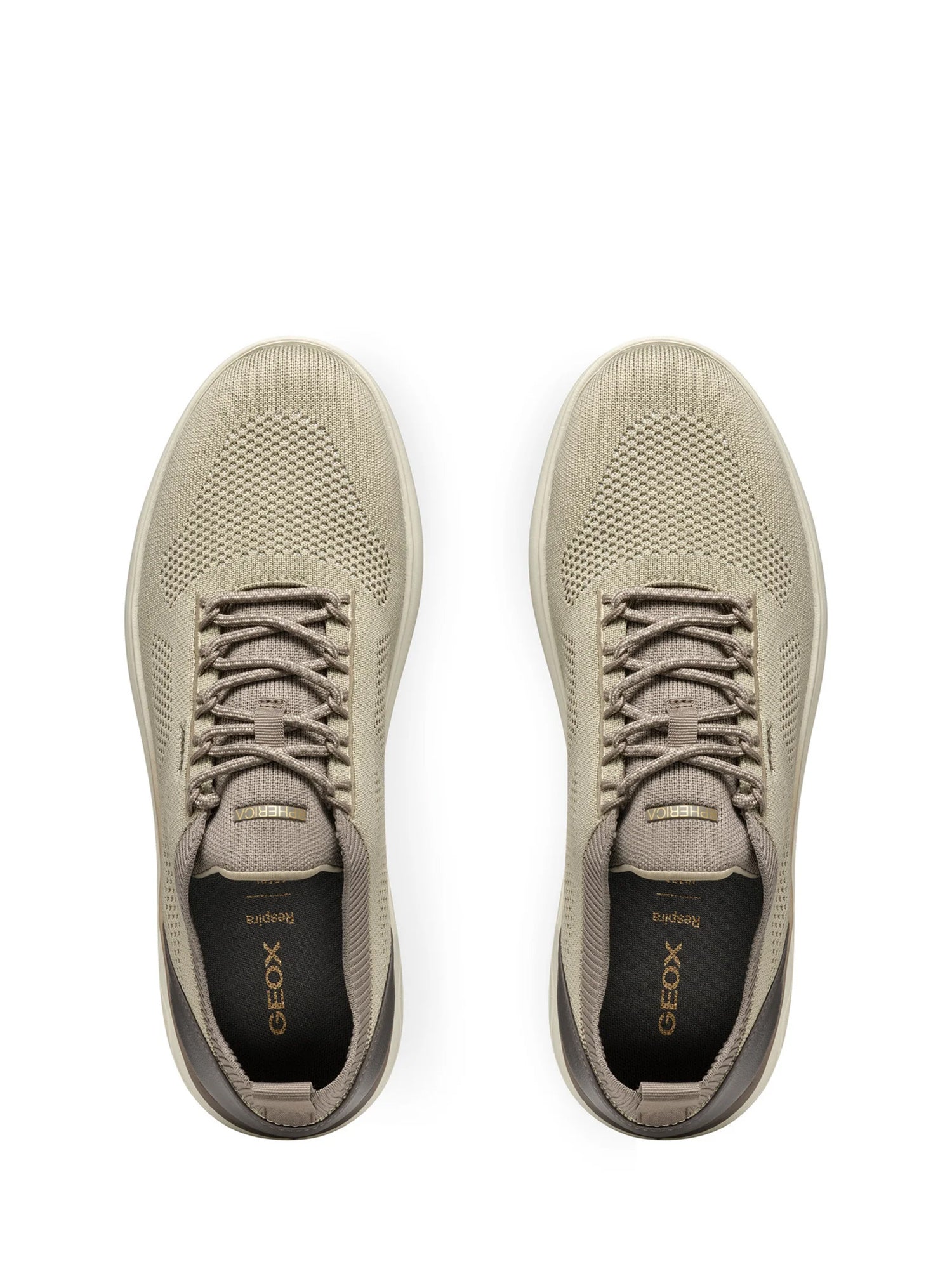 Sneakers Beige Geox