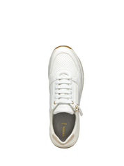 Sneakers Bianco Geox