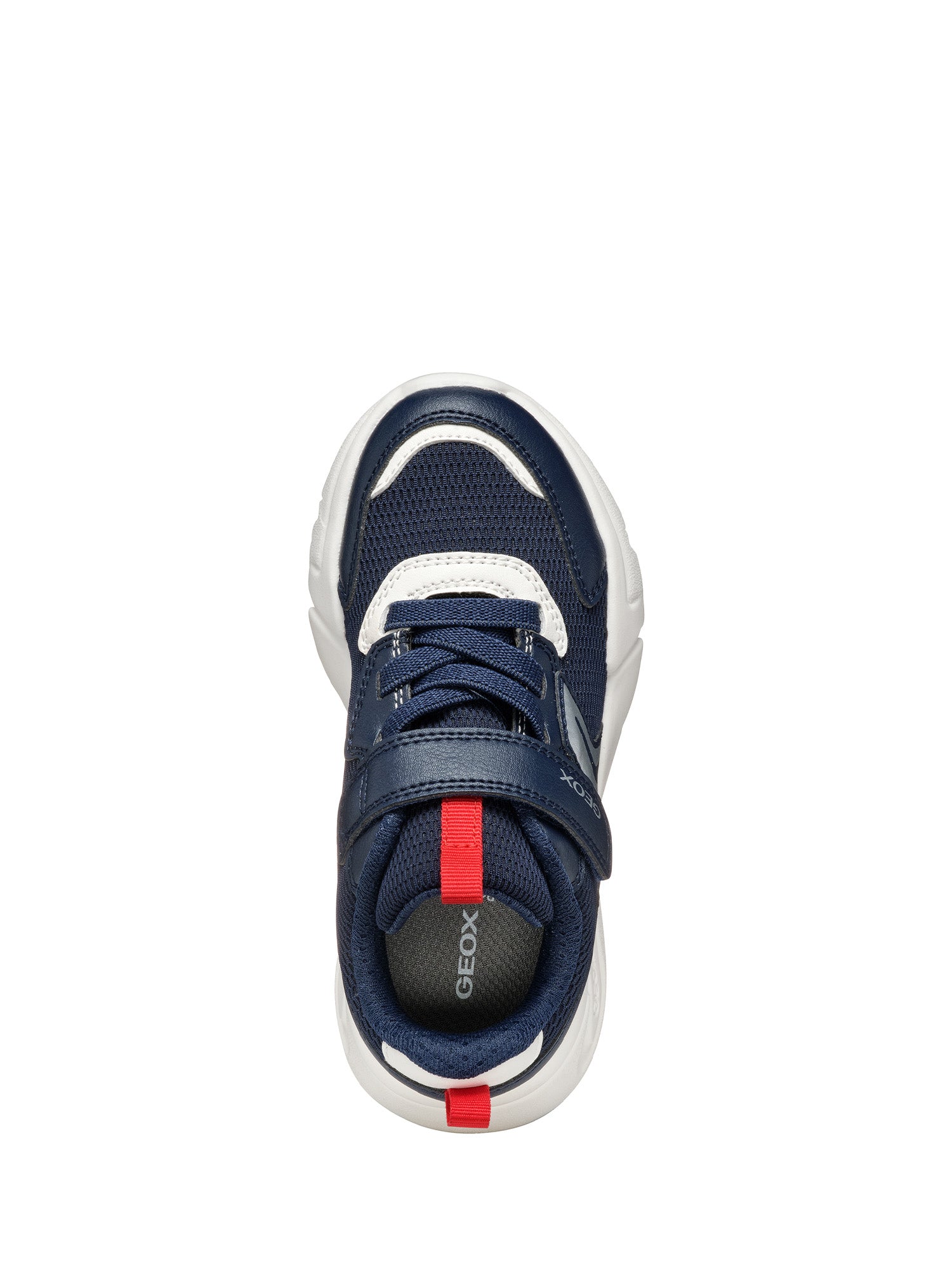 Scarpe con strappi Blu Geox