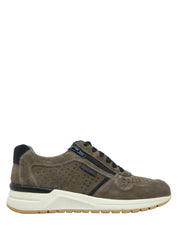 Sneakers Tortora Valleverde