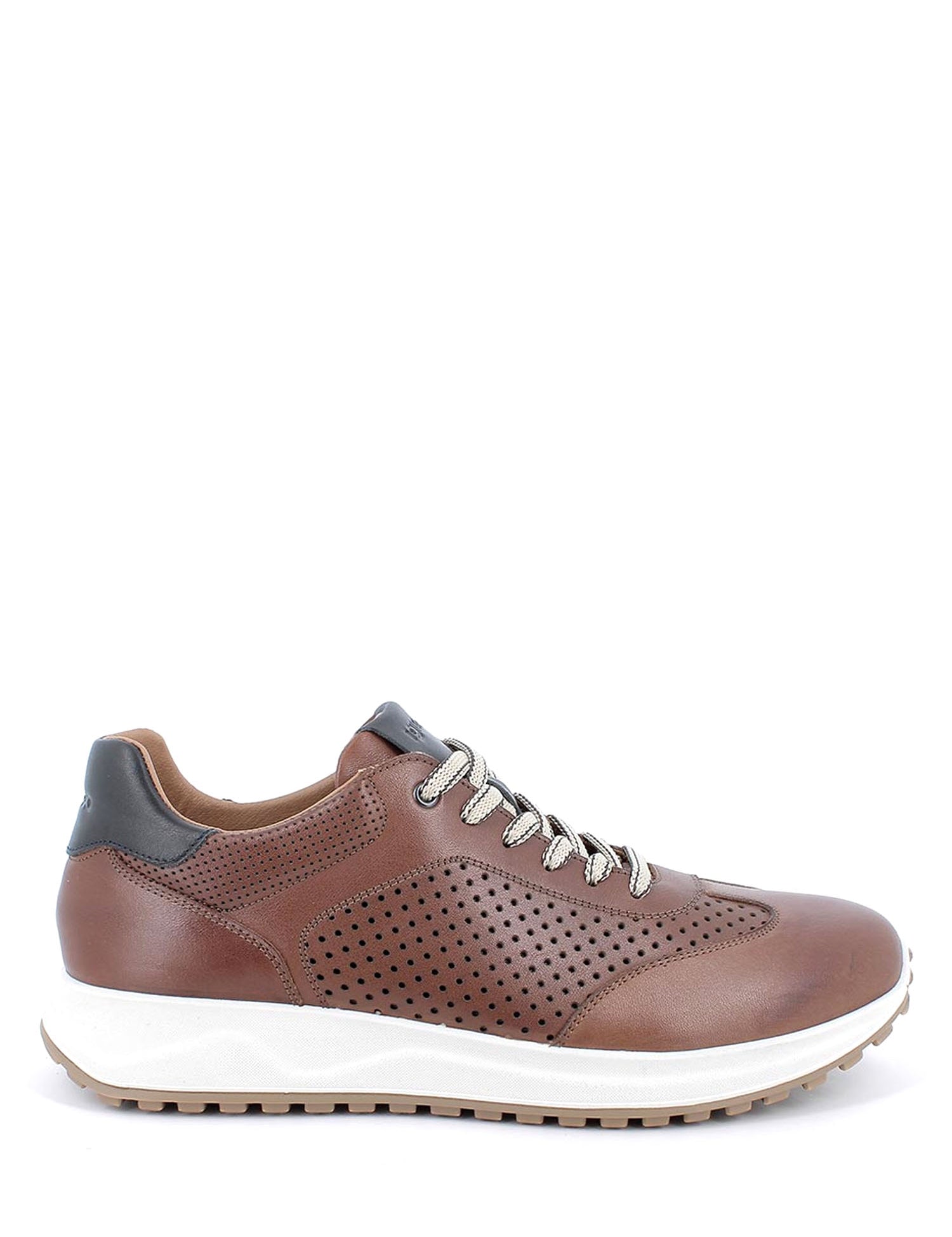 Sneakers Marrone Igi&co