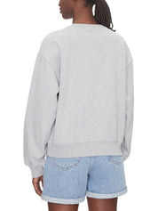 Felpe Grigio Calvin Klein