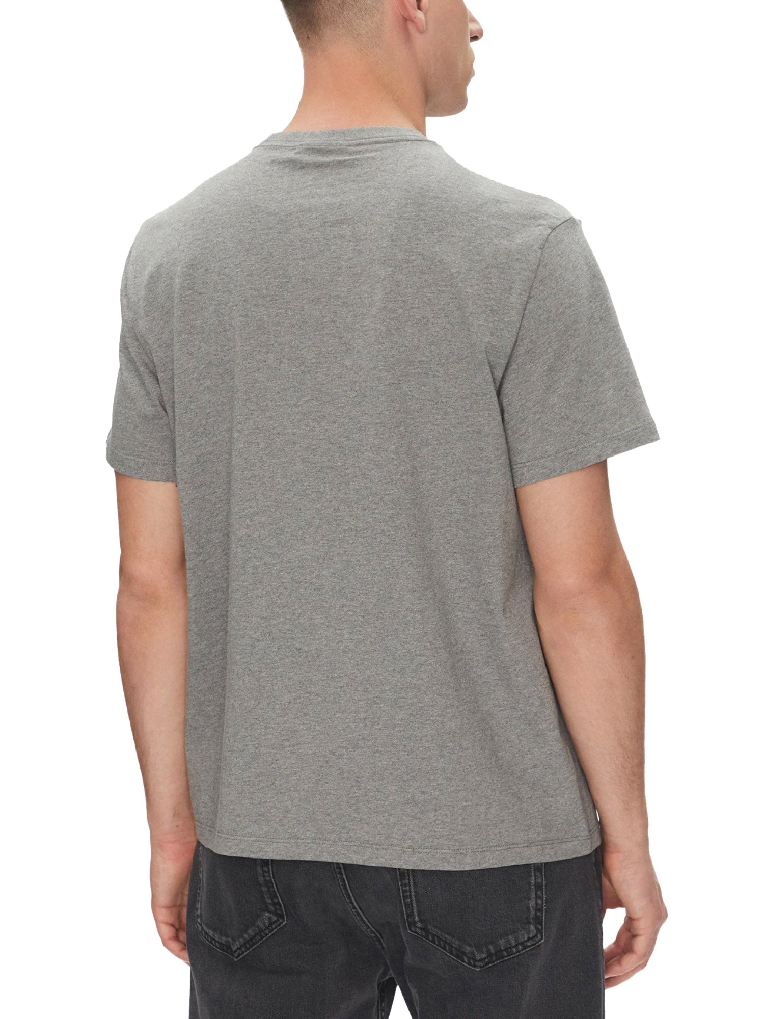 T-shirt Grigio Calvin Klein