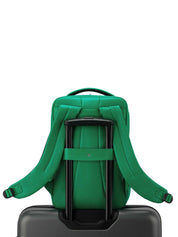 Zaini Verde Roncato