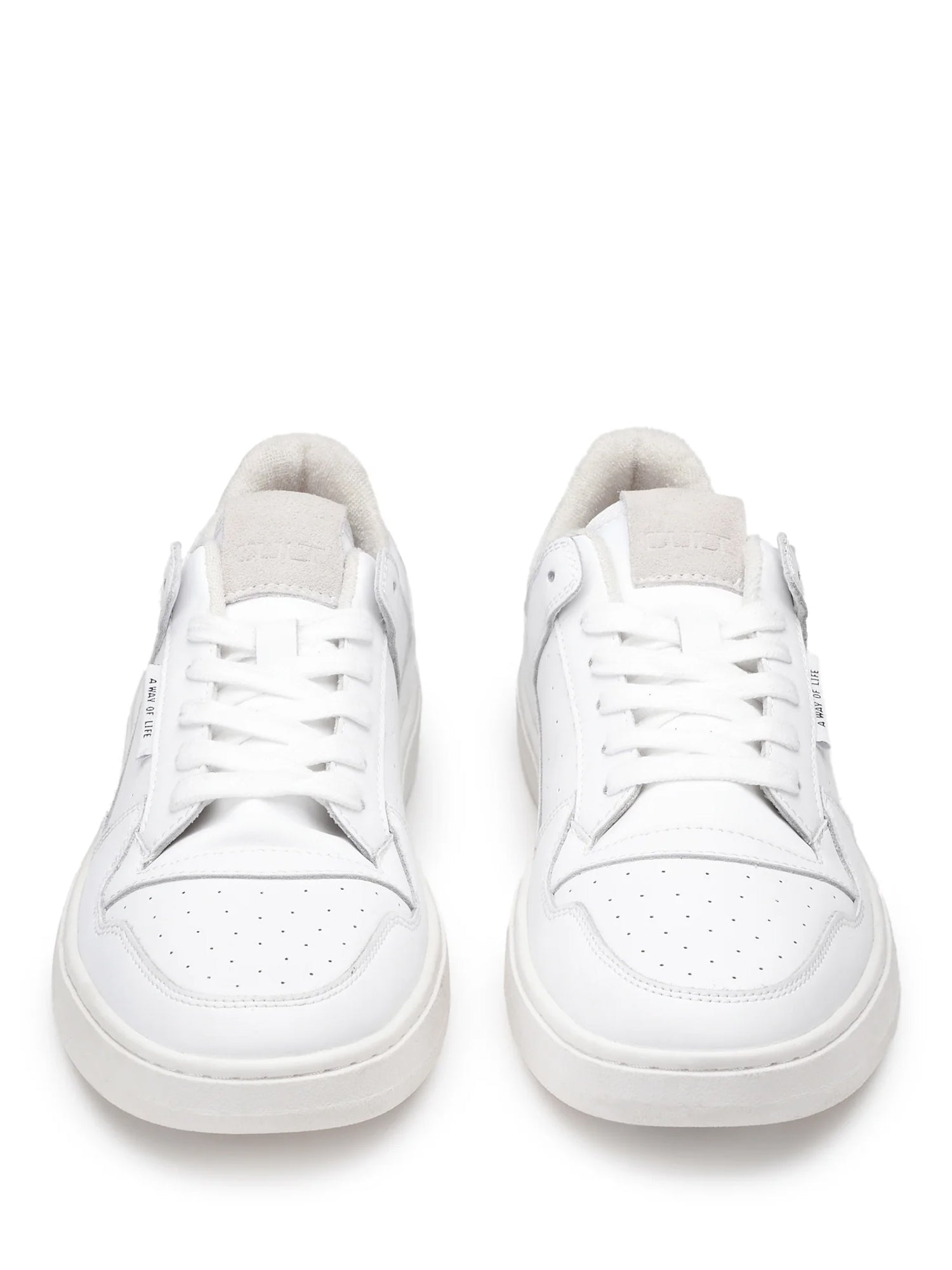 Sneakers Bianco Cult