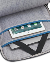 Zaini Grigio Roncato