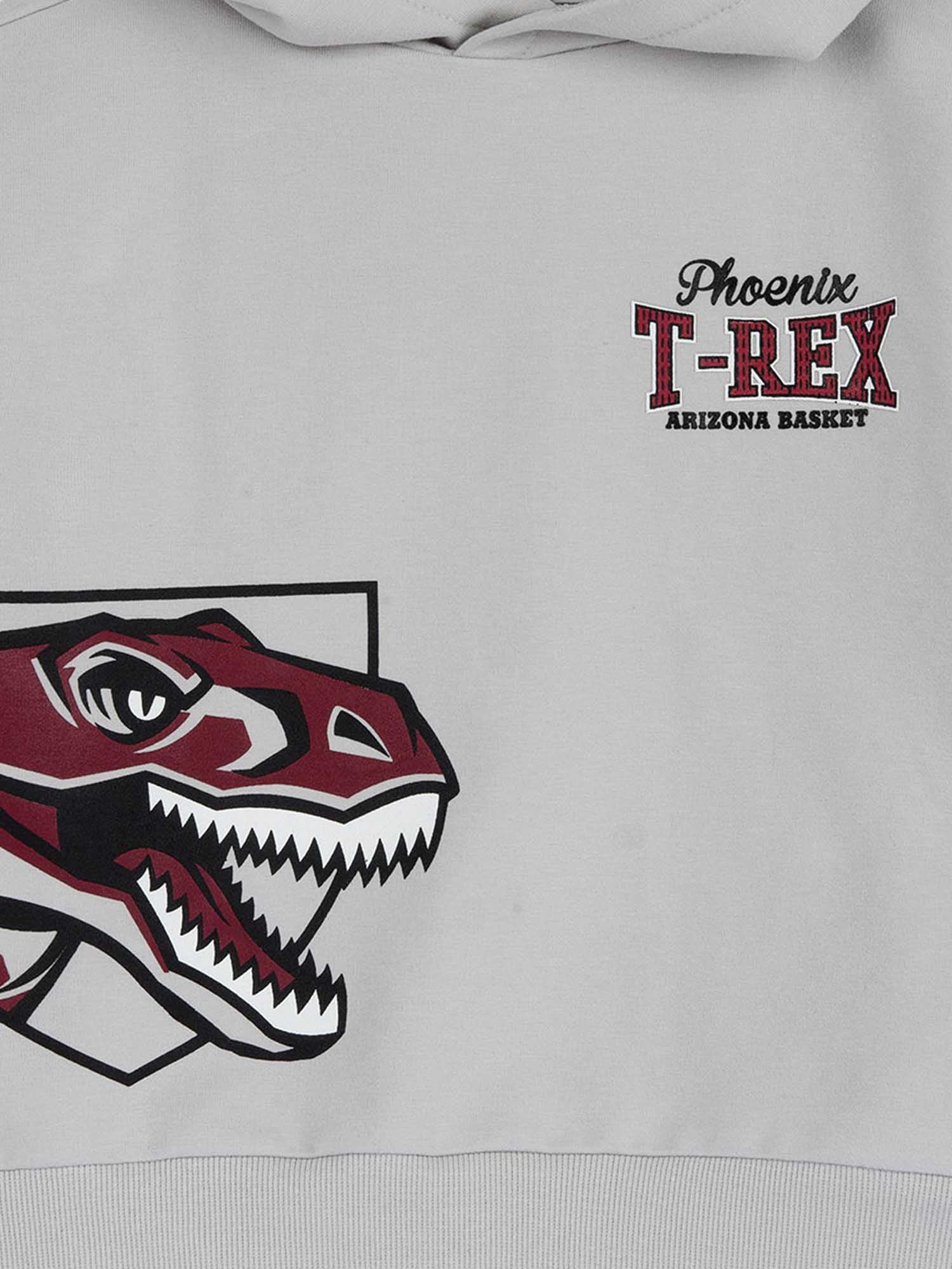 Felpe Grigio Rosso Chicco