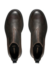 Stivaletti Marrone Geox