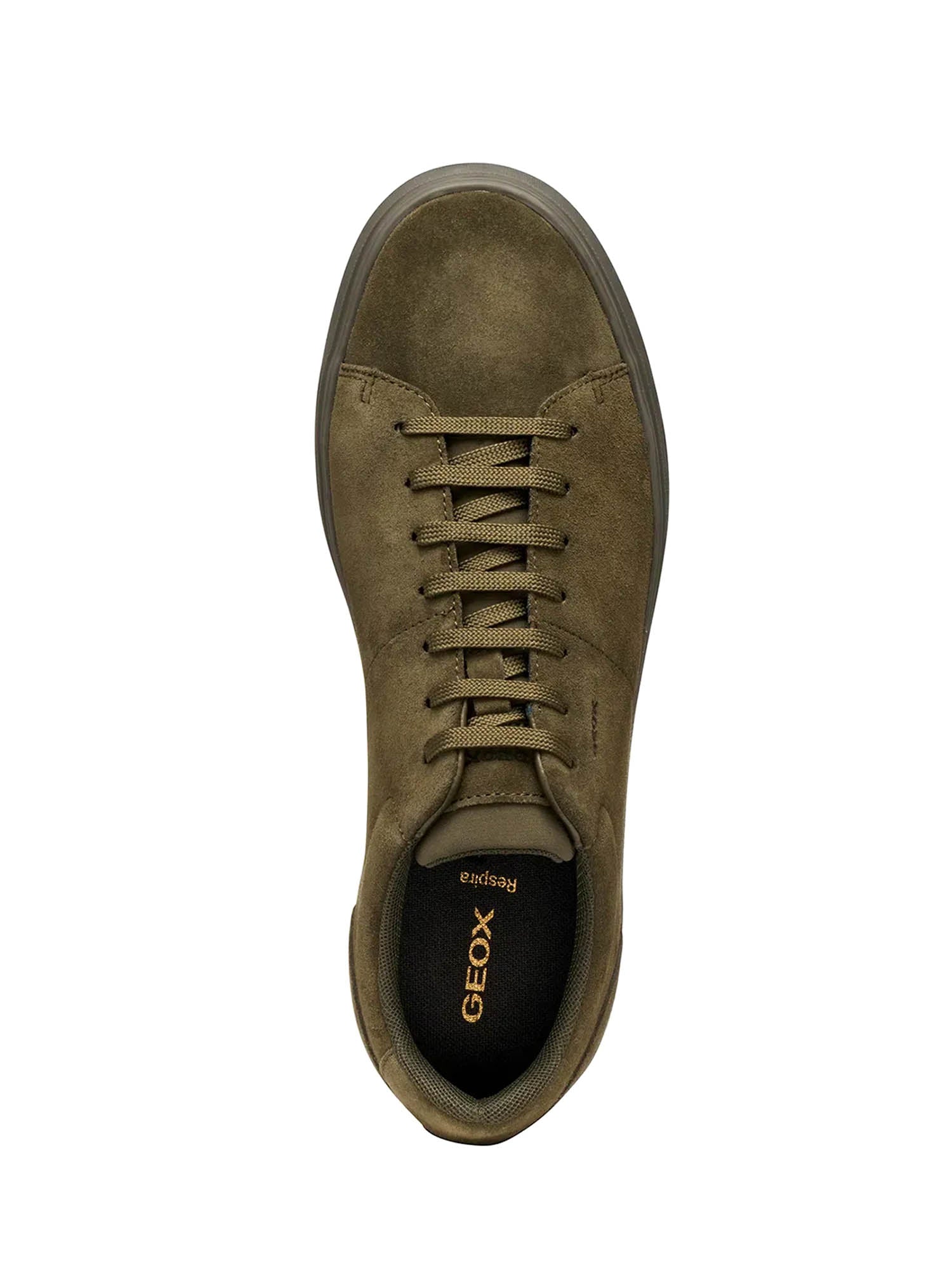 Sneakers Marrone Geox