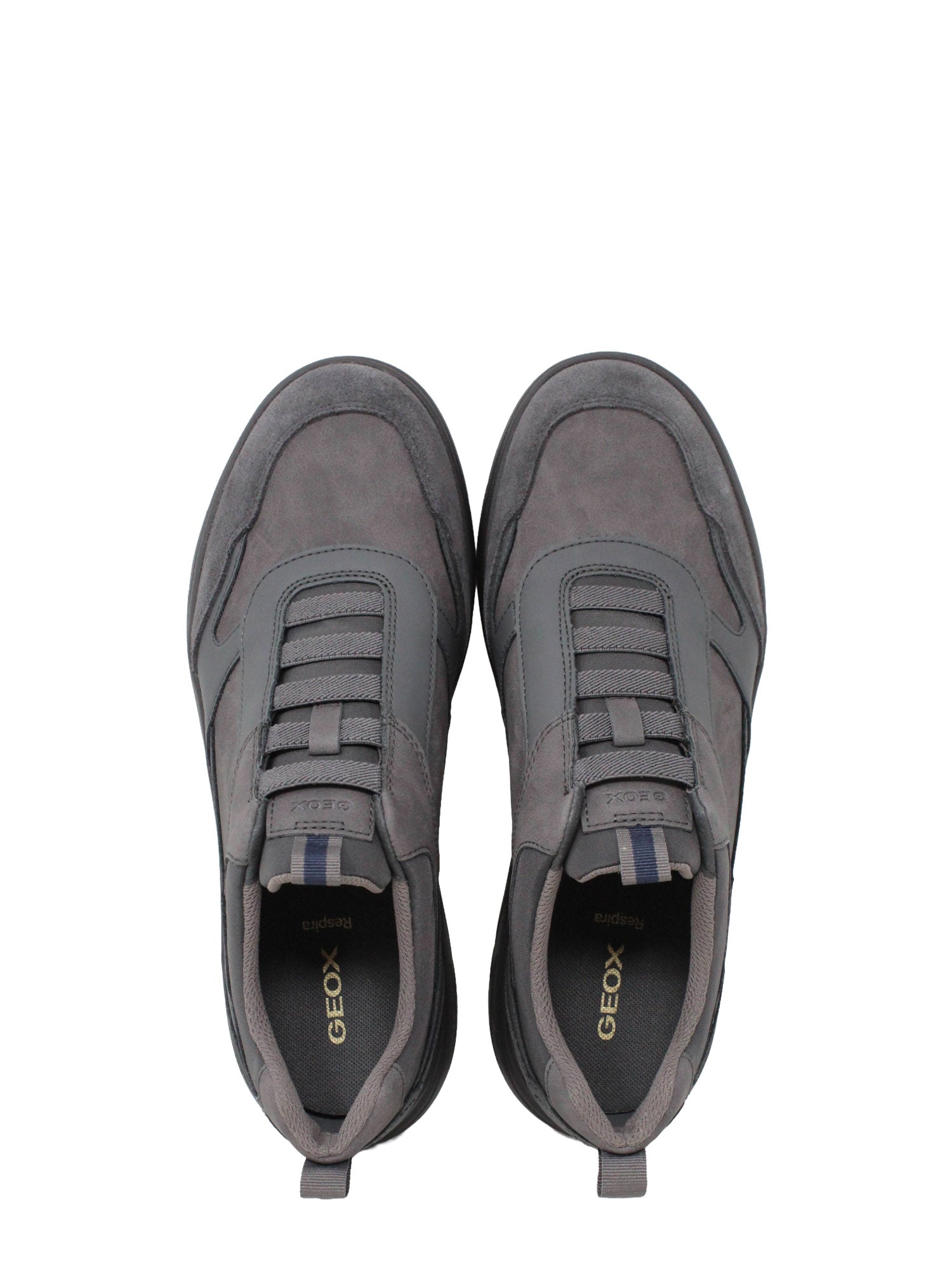 Sneakers Grigio Geox