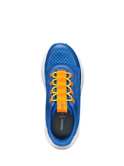 Sneakers Blu Geox