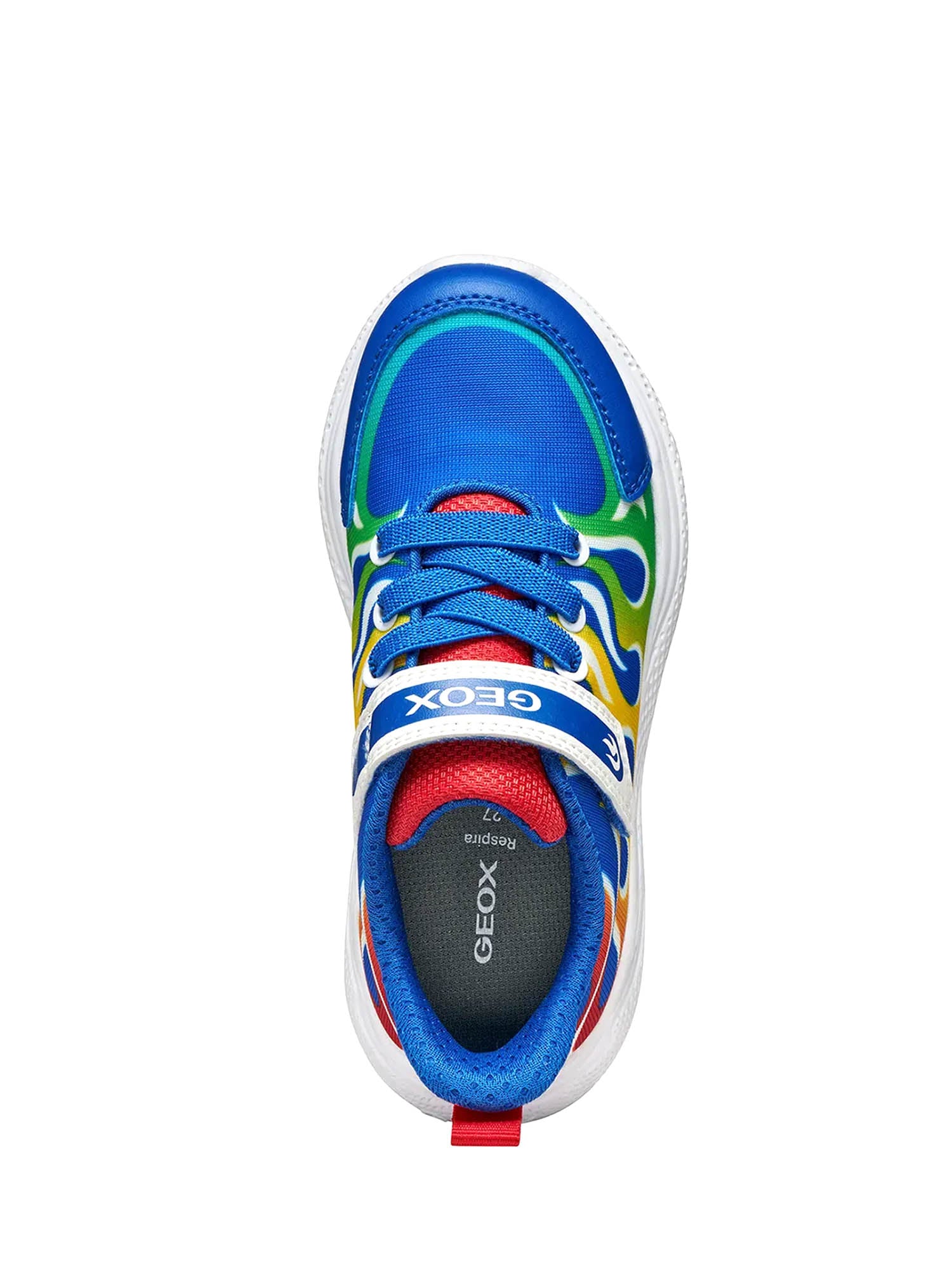 Scarpe con strappi Blu Geox